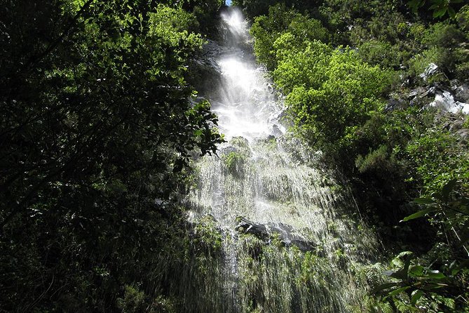 Hidden Corners: Levada Walk from Funchal - Entering Levada do Rei and the São Jorge Valley