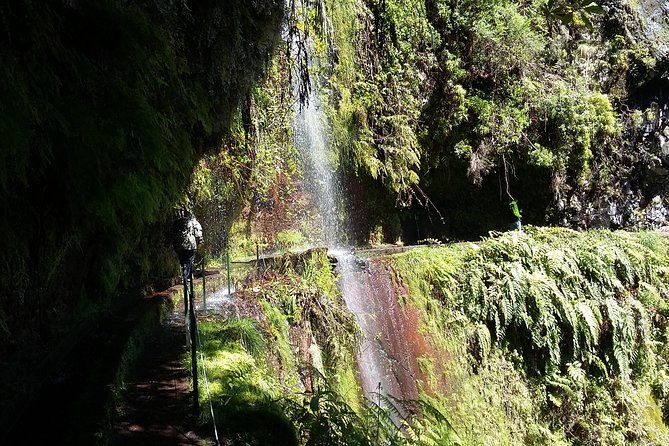 Hike in Laurisilva Levada do Rei - Madre of Life small Group guided walk - Why the eight-person limit matters