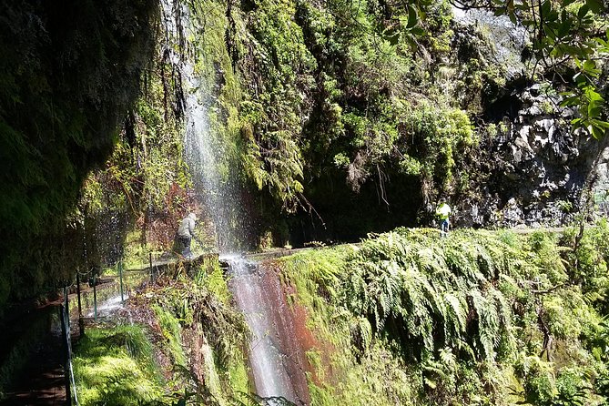 Hike in Laurisilva Levada do Rei - Madre of Life small Group guided walk - Pickup from Funchal and Caniço