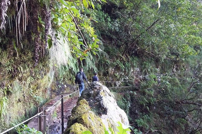 Hike in Laurisilva Levada do Rei - Madre of Life small Group guided walk - A guide-led walk, not a race through the forest