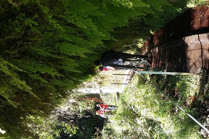 Hike in Laurisilva Levada do Rei - Madre of Life small Group guided walk - Weather, clothing, and the small print that matters