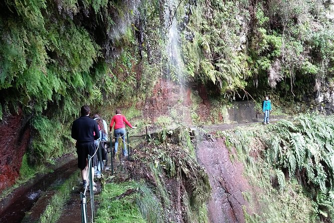 Hike in Laurisilva Levada do Rei - Madre of Life small Group guided walk - Who will enjoy Levada do Rei most?