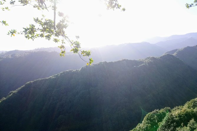 Hike in Laurisilva Levada do Rei - Madre of Life small Group guided walk - What the four-hour Levada do Rei walk is like