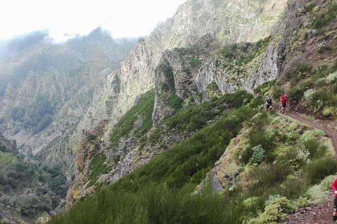 Hike Larano, Boca do Risco Porto da Cruz Levada in a small group - Why this Larano walk is worth your day