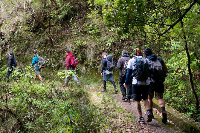 Hiking and Trekking tours in Madeira - Key points to know before you book