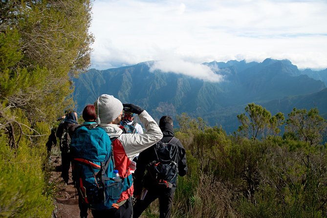Hiking and Trekking tours in Madeira - The 9:00 a.m. pickup from Funchal