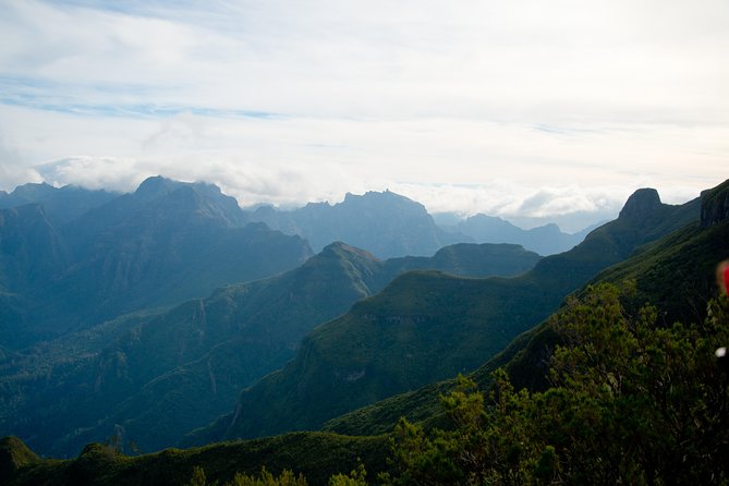 Hiking and Trekking tours in Madeira - Flora, fauna, and volcanic scenery