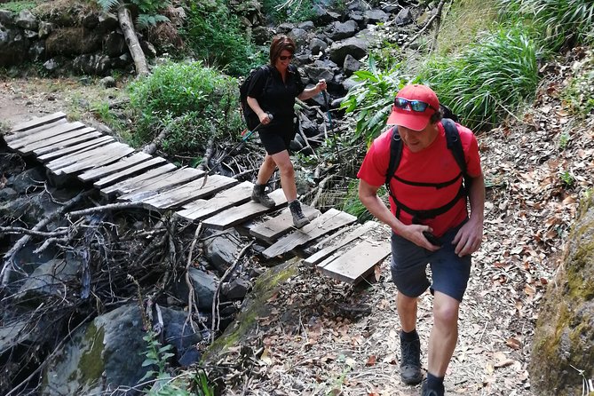 Hiking and Trekking tours in Madeira - What $120.02 buys you