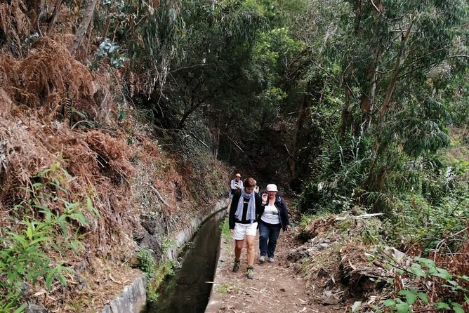 Hiking and Trekking tours in Madeira - Who will get the most from this hike