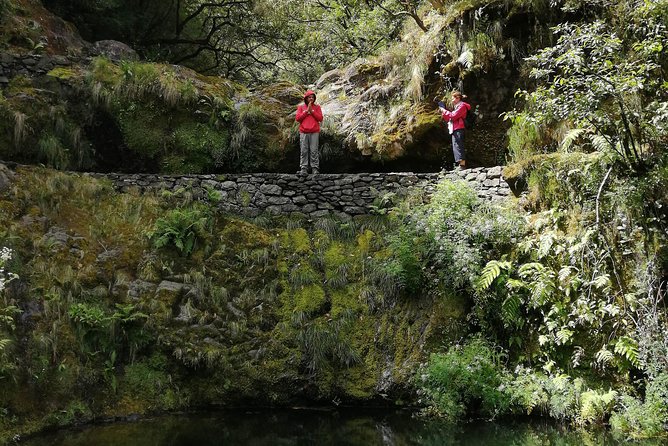 Hiking and Trekking tours in Madeira - Group size, language, and comfort