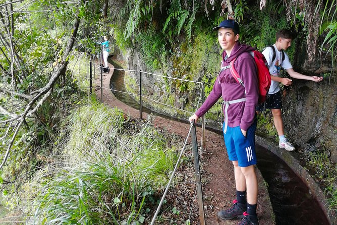 Hiking and Trekking tours in Madeira - What the walk itself feels like