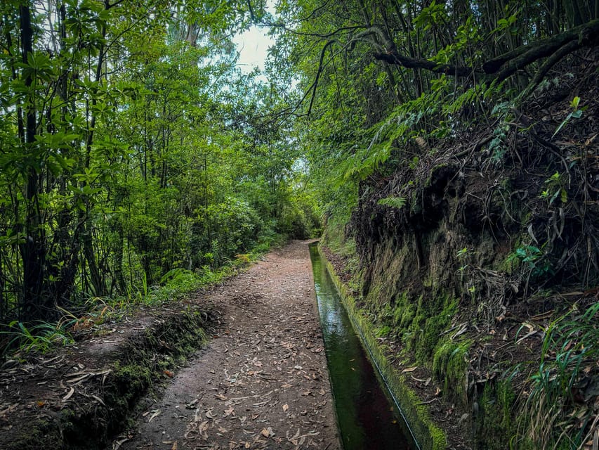 Hiking Madeira: Levada do Rei and the Majestic Laurissilva - Key points to know before you go