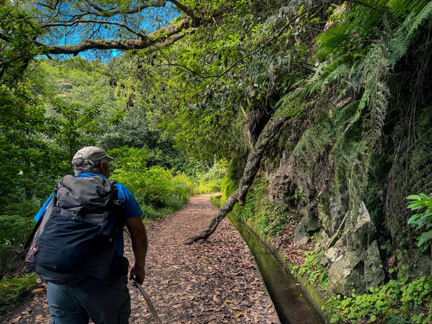 Hiking Madeira: Levada do Rei and the Majestic Laurissilva - Starting at Quebradas and following the levada