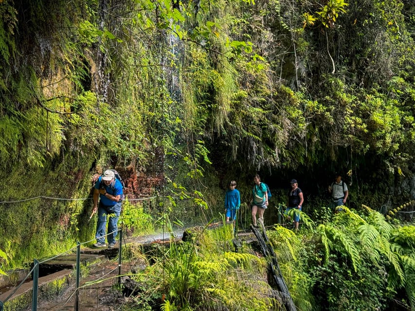 Hiking Madeira: Levada do Rei and the Majestic Laurissilva - Passing through the waterfall