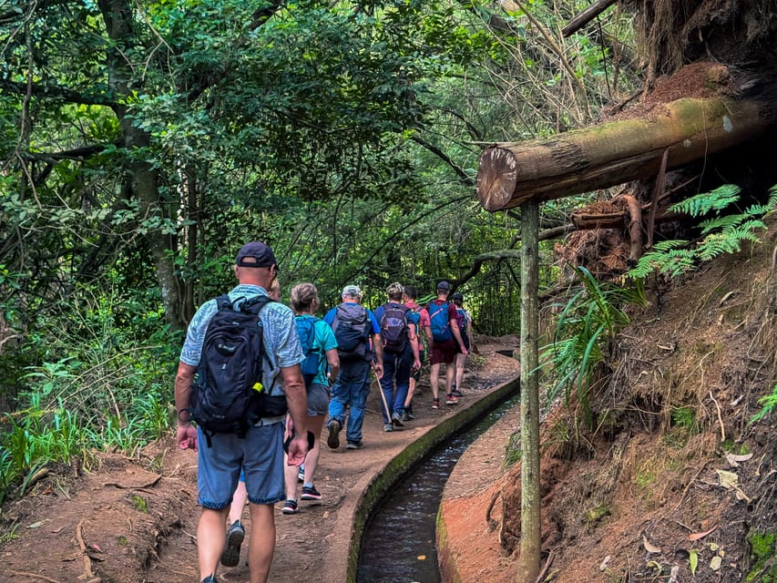 Hiking Madeira: Levada do Rei and the Majestic Laurissilva - What the $54 price includes