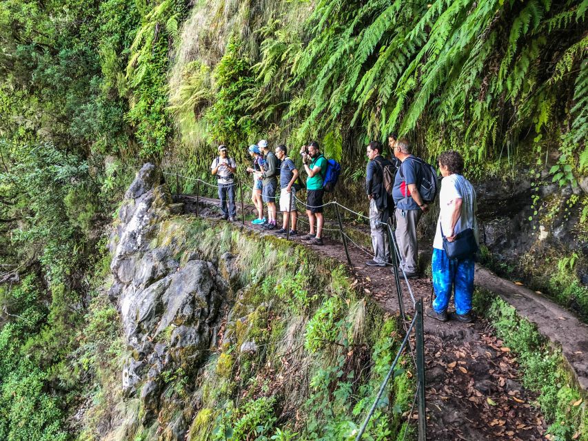 Hiking Trip with a Local - A Madeira hiking day shaped around you