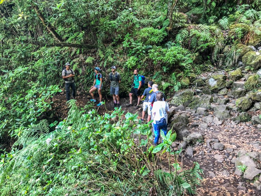 Hiking Trip with a Local - Tuesday along Larano’s coast and forest