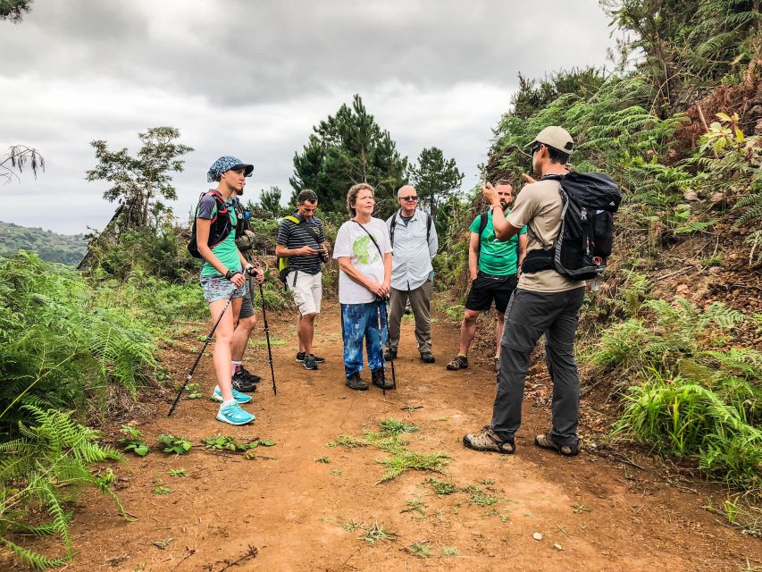 Hiking Trip with a Local - Thursday in Fanal Ancient Forest
