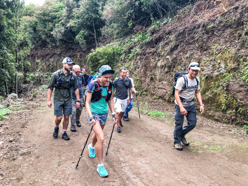 Hiking Trip with a Local - Hotel pickup makes the day easier