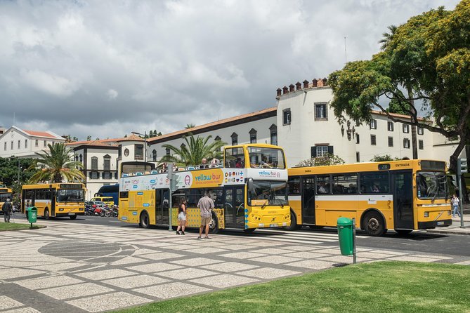 Hop-on Hop-off Bus Tour and Catamaran Whale & Dolphin Watching - Making the catamaran cruise fit your day