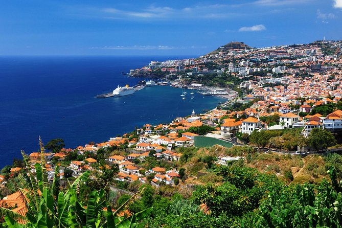 Hop-on Hop-off Bus Tour and Catamaran Whale & Dolphin Watching - Starting at Avenida do Mar and the central sights