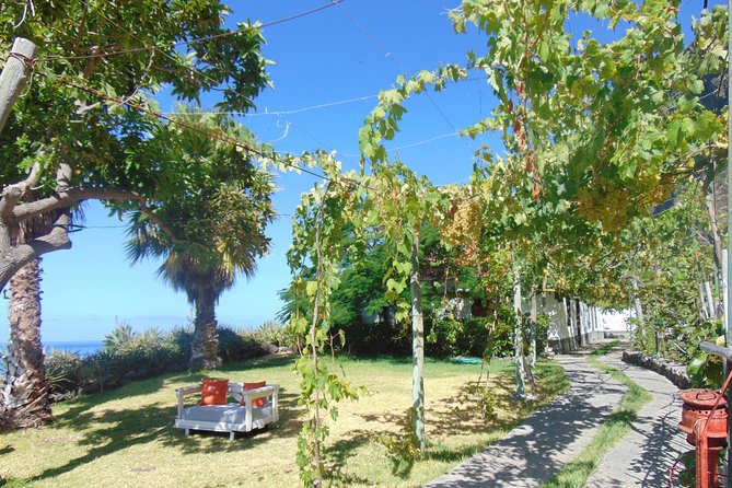 Incredible tour to a 'Faja' with a story - Lunch on the oceanfront terrace