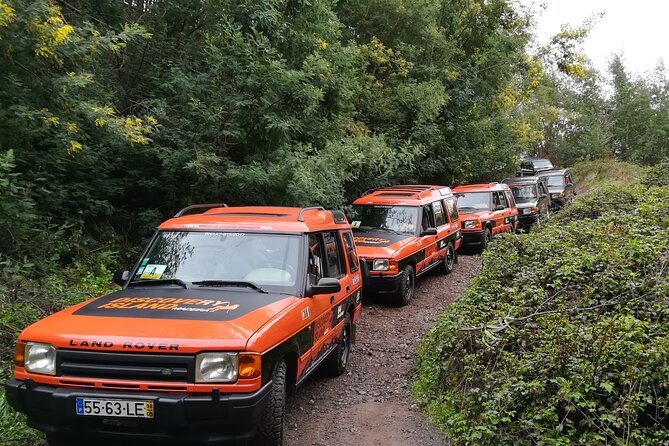 Jeep Safari Câmara de Lobos Cabo Girão Half Day Tour - A local bar, off-road driving, and a taste of poncha