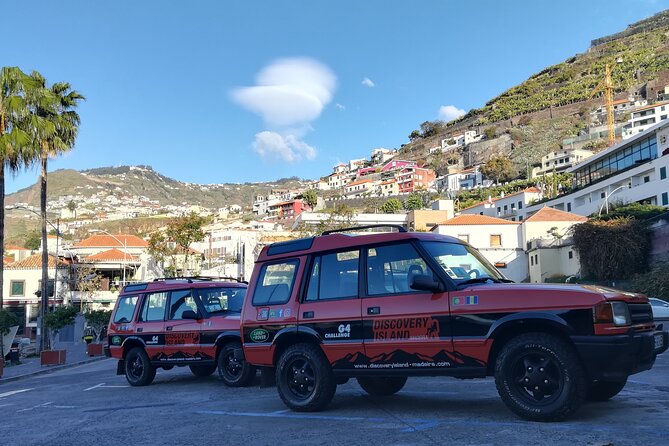 Jeep Safari Câmara de Lobos Cabo Girão Half Day Tour - Guide style, group size, and the language question