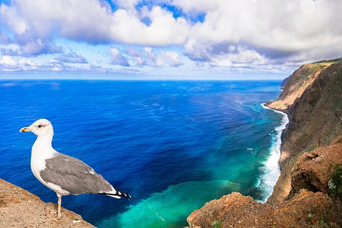 Jeep Safari in Southwest, Calheta and Ponta do Sol Full Day Tour - Calheta brings lunch and a gentler pace