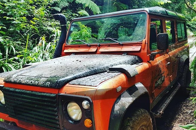 Jeep Tour To Santana: Old Forest Full-Day East-Side - From Funchal to Pico do Arieiro
