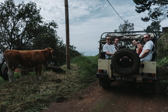 Jeep Tour To ,(Skywalk, Seixal, Porto Moniz, Fanal) - What the small jeep group changes