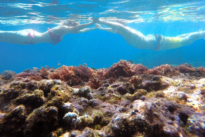 Kayak and Snorkeling Tour in Underwater Nature Reserve Garajau - Sea conditions are part of the deal