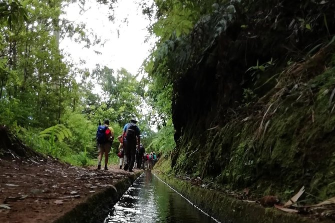 Kings Levada - São Jorge - Following the Kings Levada for 10 km