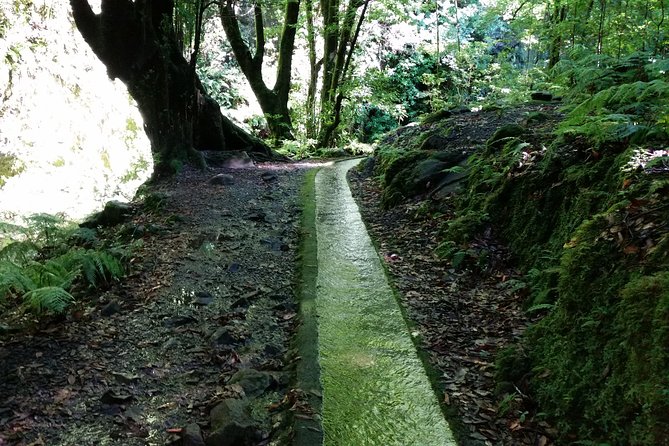 Kings Levada - São Jorge - What the guide adds to the walk