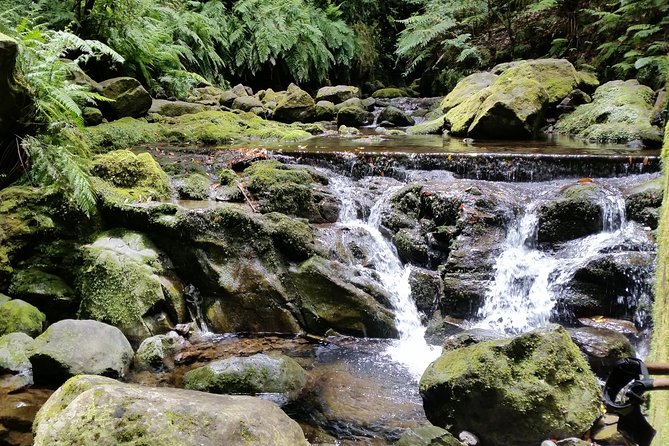 Kings Levada - São Jorge - Group size, pace, and comfort