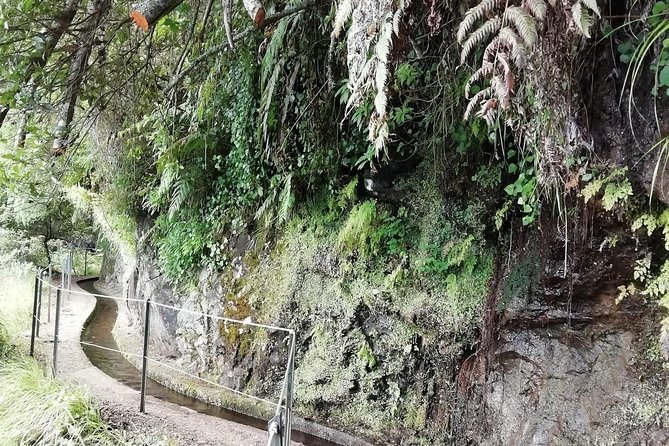 Kings Levada - São Jorge - Is the $54.01 price fair?