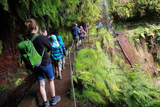 Kings Levada - São Jorge - Who should book the Kings Levada walk?