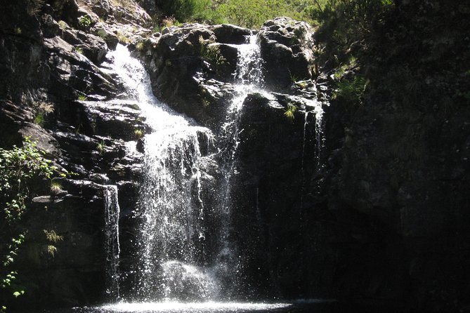 Lakes of Madeira- Alecrim Full day walk - Why Alecrim feels different from a standard levada walk