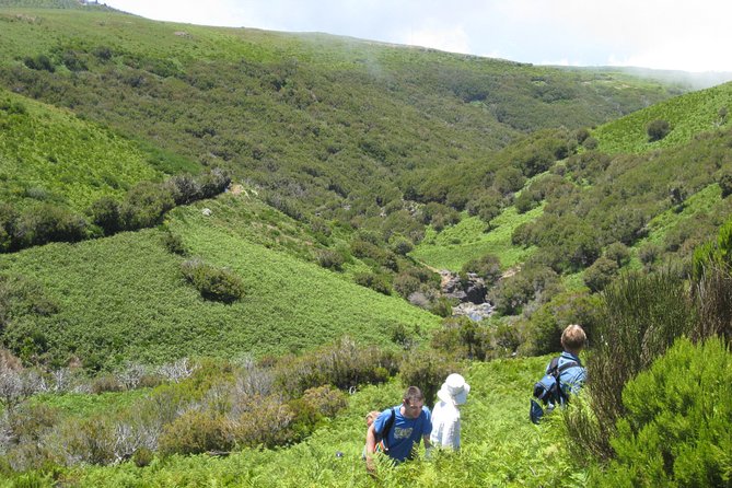 Lakes of Madeira- Alecrim Full day walk - Following the levada into the western plateau