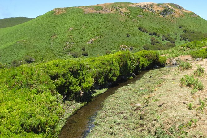 Lakes of Madeira- Alecrim Full day walk - Is the $52.05 price good value?