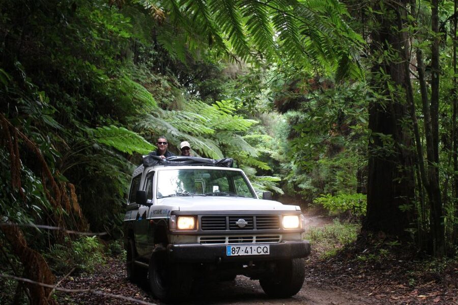Let-Me-Surprise-You Madeira Full Day Private Tour - Key points to know before booking