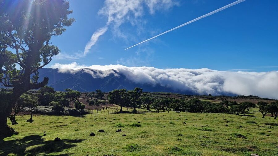 Let-Me-Surprise-You Madeira Full Day Private Tour - Heading into misty mountain country