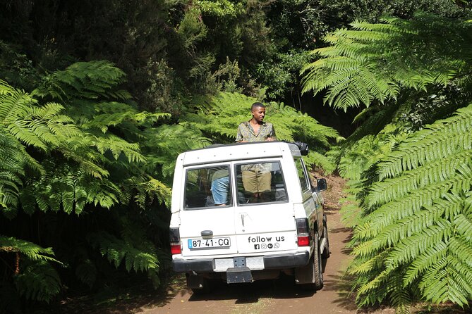 Let-Me-Surprise-You Private Full-Day Tour in All Terrain Vehicle - Coast, volcanic rock pools, and plantation country