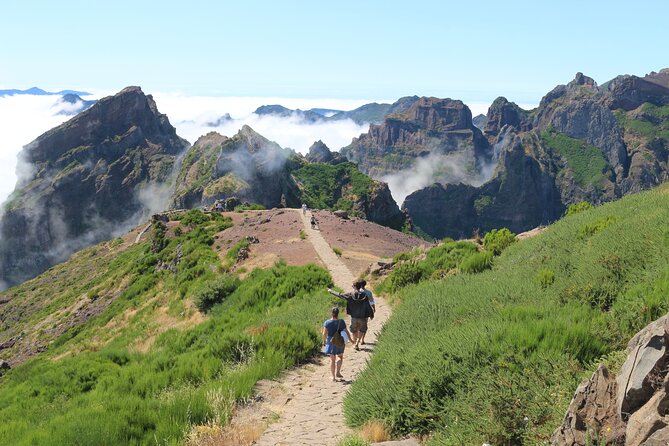 Let-Me-Surprise-You Private Full-Day Tour in All Terrain Vehicle - Poncha, local food, and the lunch decision
