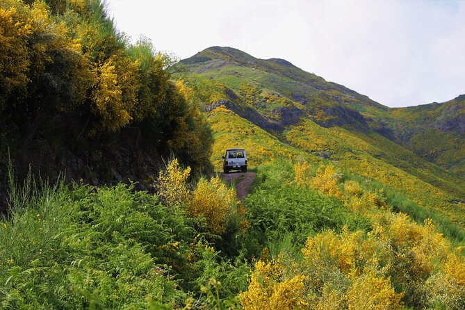 Let-Me-Surprise-You Private Full-Day Tour in All Terrain Vehicle - What the price means for a private group
