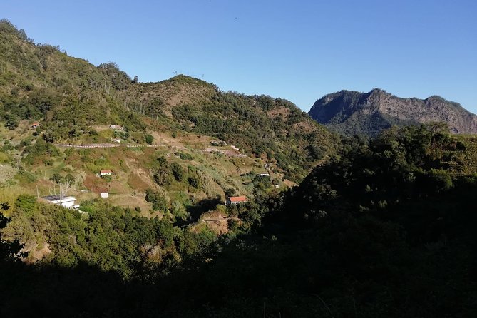 Levada da Referta - Castelejo - The café stop that gives the morning a local finish