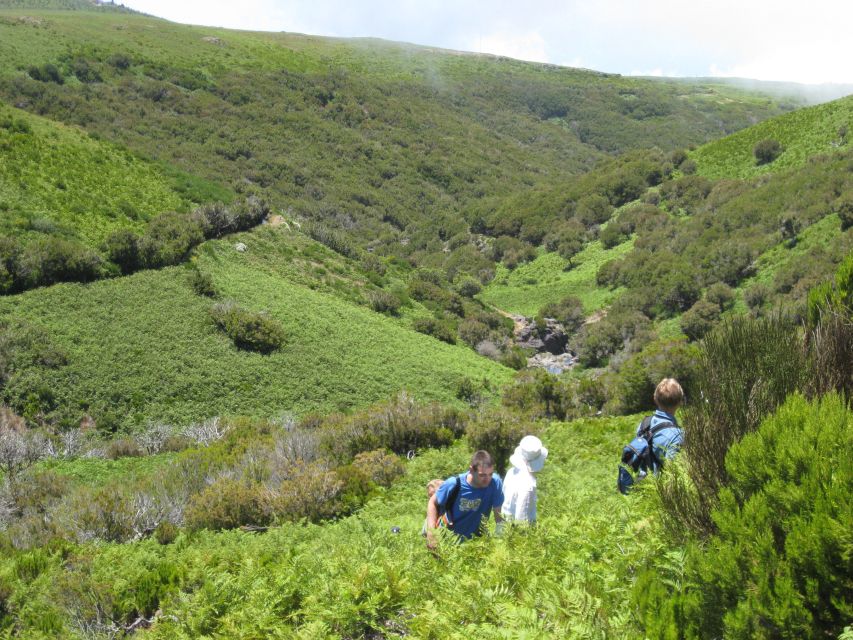 Levada do Alecrim (Madeira Lakes) Full-day walk - Who should book this walk?