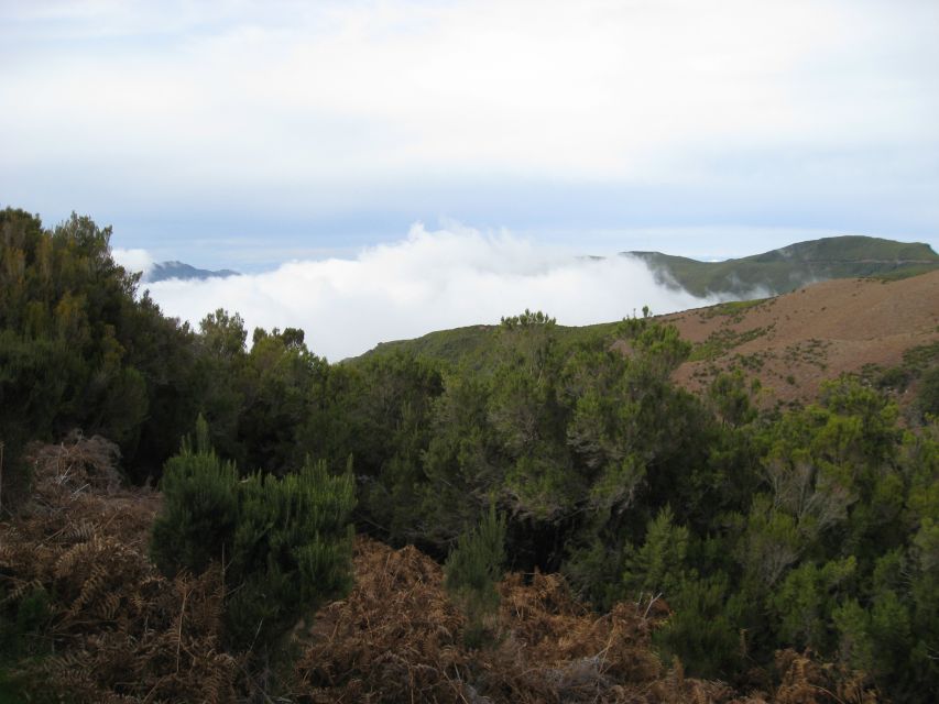 Levada do Alecrim (Madeira Lakes) Full-day walk - The easy levada section