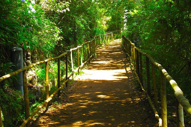 Levada do Caldeirão Verde Levada Walk from Funchal - Key points to know before booking