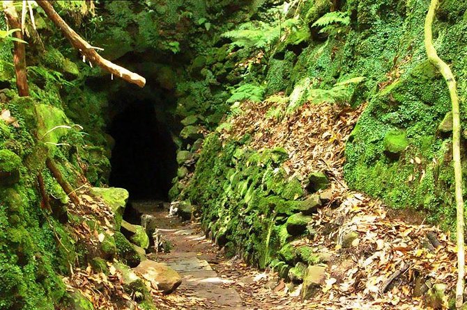 Levada do Caldeirão Verde Levada Walk from Funchal - Why this Madeira walk is worth your day